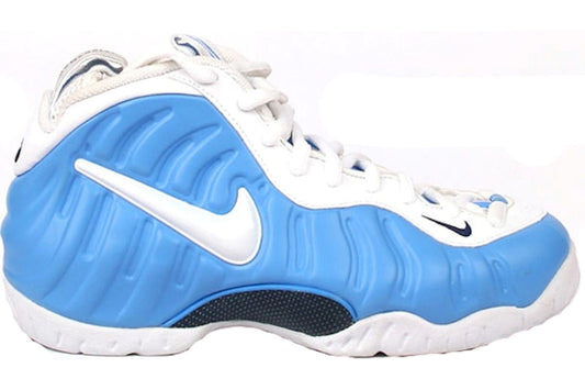 Nike Air Foamposite Pro